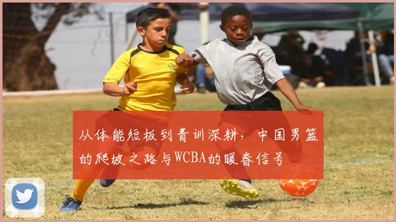 从体能短板到青训深耕，中国男篮的爬坡之路与WCBA的暖春信号