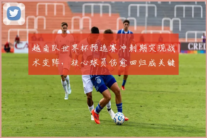 越南队世界杯预选赛冲刺期突现战术变阵，核心球员伤愈回归成关键