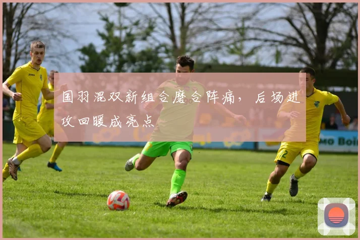 国羽混双新组合磨合阵痛，后场进攻回暖成亮点