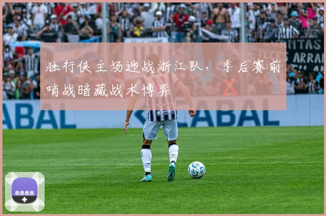 独行侠主场迎战浙江队，季后赛前哨战暗藏战术博弈