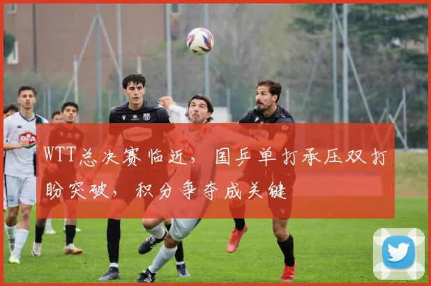 WTT总决赛临近，国乒单打承压双打盼突破，积分争夺成关键