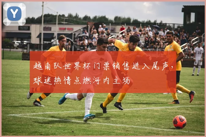 越南队世界杯门票销售进入尾声，球迷热情点燃河内主场