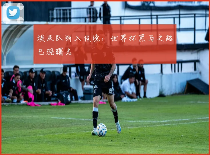 埃及队渐入佳境，世界杯黑马之路已现曙光